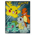 Stor Pläd Pokémon