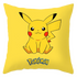 Kuddfodral 45x45 Pokémon